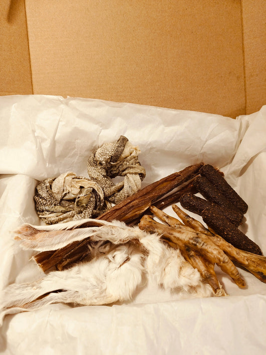 Taster Treat Box | Natural Dog Treat Box Norfolk Pet Essentials