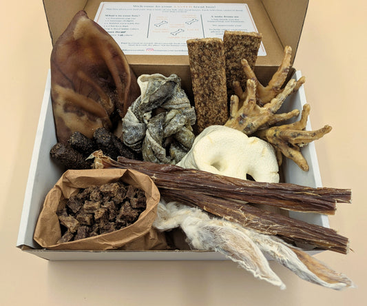 Lil' Chomper Box | Natural Dog Treat Box